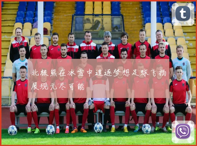 北极熊在冰雪中追逐梦想足球飞扬展现无尽可能