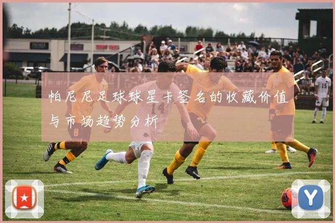 帕尼尼足球球星卡签名的收藏价值与市场趋势分析