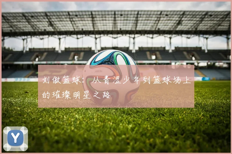 刘傲篮球：从青涩少年到篮球场上的璀璨明星之路