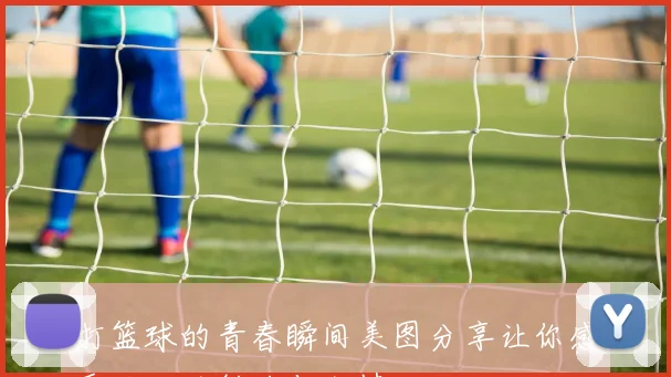 打篮球的青春瞬间美图分享让你感受运动的魅力与激情