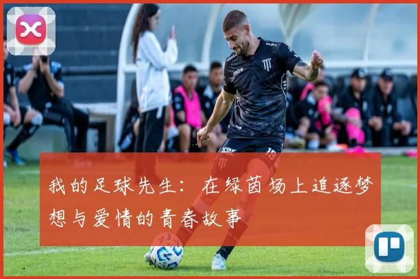 我的足球先生：在绿茵场上追逐梦想与爱情的青春故事