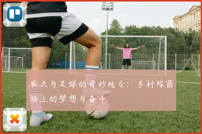 农夫与足球的奇妙结合：乡村绿茵场上的梦想与奋斗
