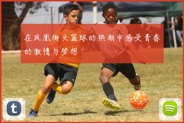 在凤凰街头篮球的热潮中感受青春的激情与梦想