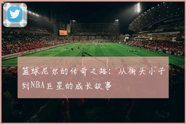 篮球尼尔的传奇之路：从街头小子到NBA巨星的成长故事