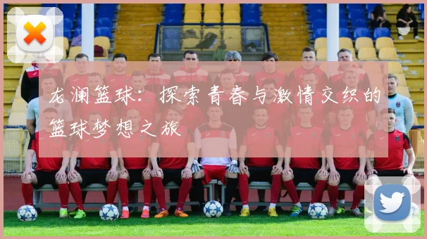 龙澜篮球：探索青春与激情交织的篮球梦想之旅