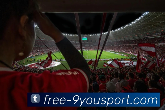 九游体育平台生态图